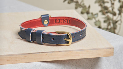 Beautiful Leather Pet Collar in Hunter Green Designed by Lund Leather