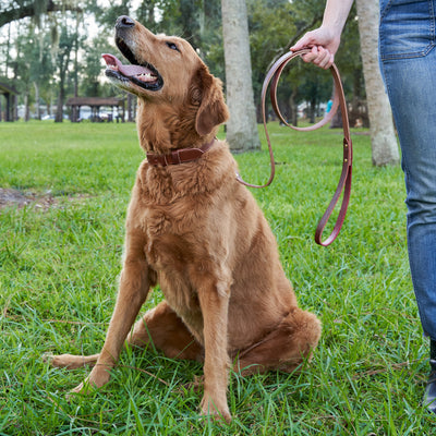 Dog Leash - Medium Brown